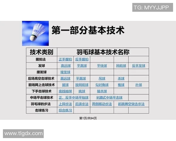 北京羽毛球队精英赛表现分析：节奏掌控与战术运用的深度解读