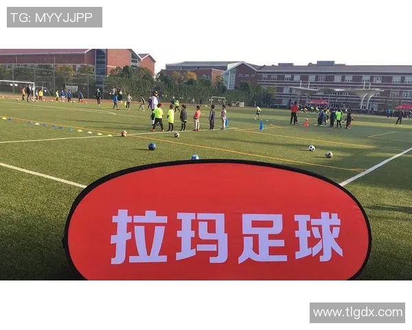 深圳羽毛球队防守体系解析与战术运用研究