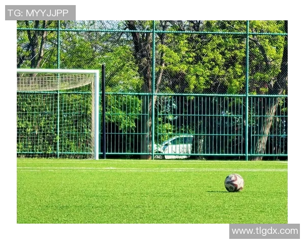 足球明星在绿茵场上的华丽瞬间与精彩绝伦的技巧展示