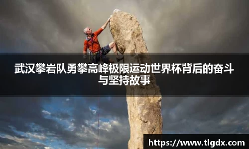 mk体育