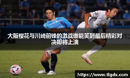 333体育氛围平台