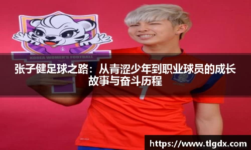 333体育全网最全