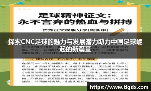 333体育氛围平台