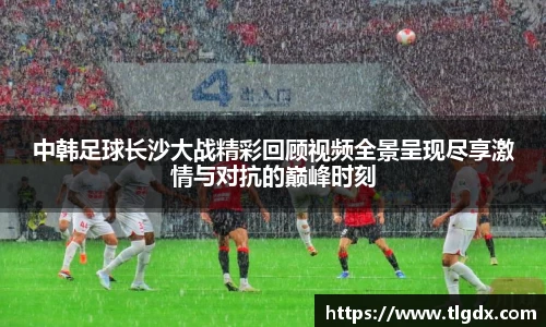 333体育全网最全